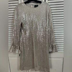 J. Crew Collection Silver Sequin Dress